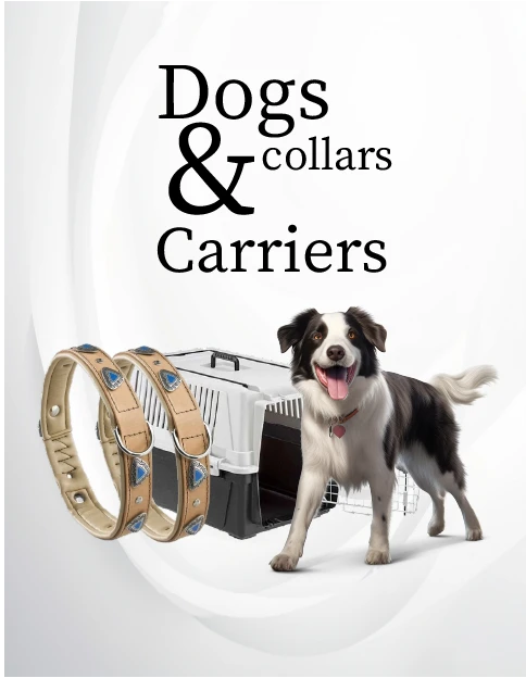 Dogs Supplies & Accessories2