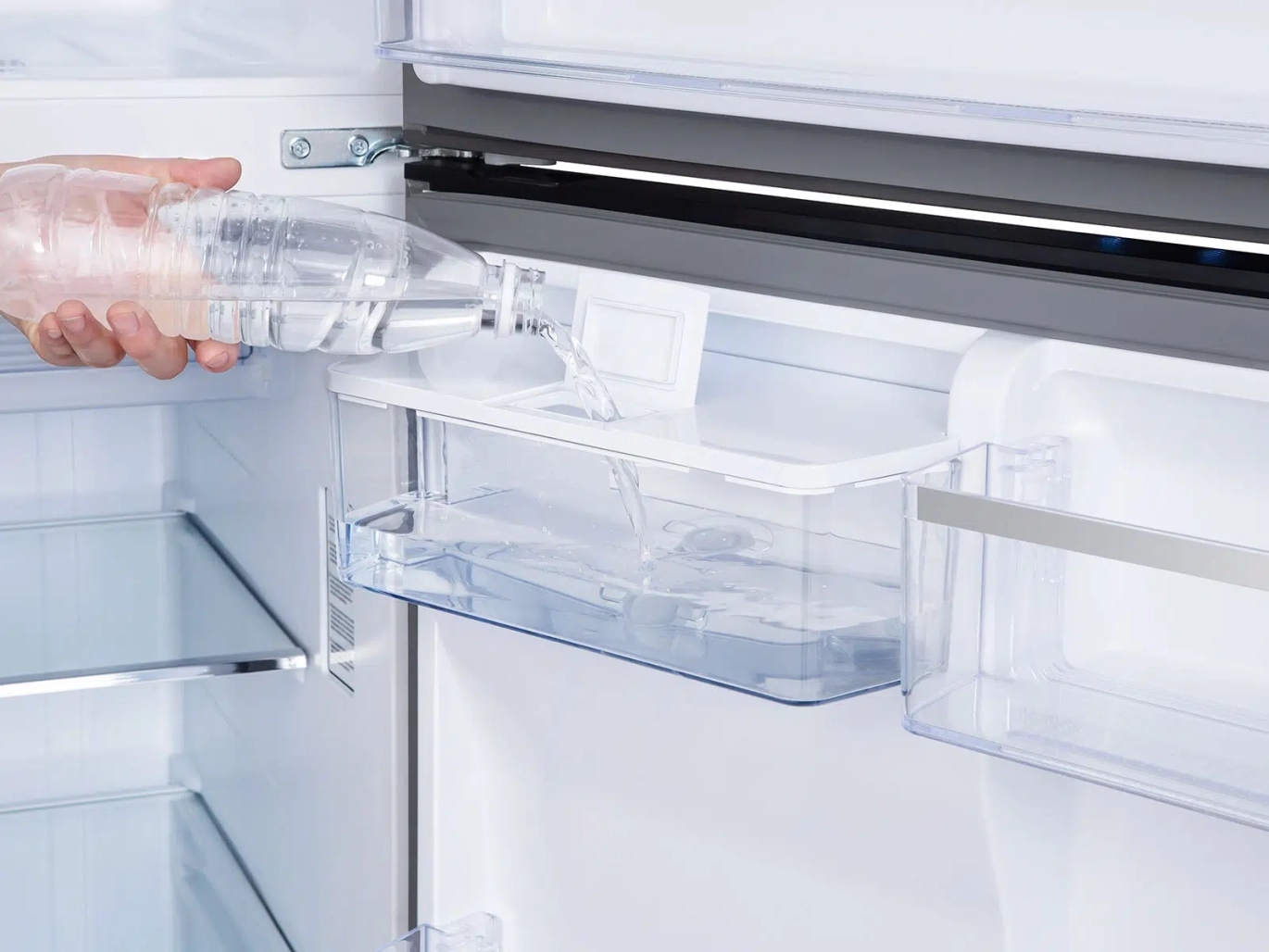 TCL Refrigerator 545 Liters Stainless P545TMS