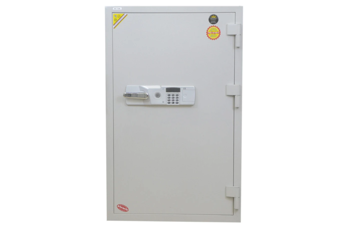 Digital Safe (Korea) 270kg