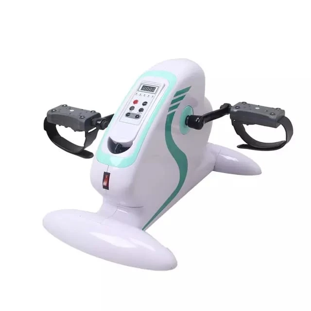 Mini electric bike