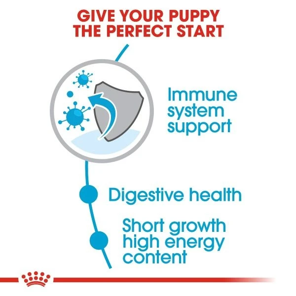 Royal Canin MEDIUM PUPPY  - /1kg