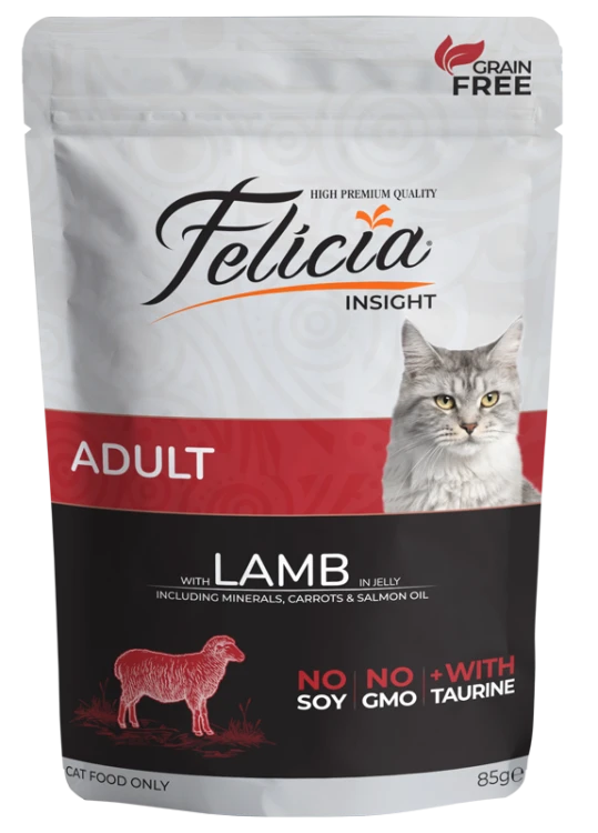 Paws Felicia All Types - Adult Salmon in Jelly