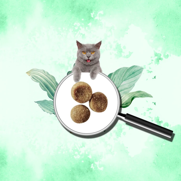 Broschweis for adult cats meat - 2kg