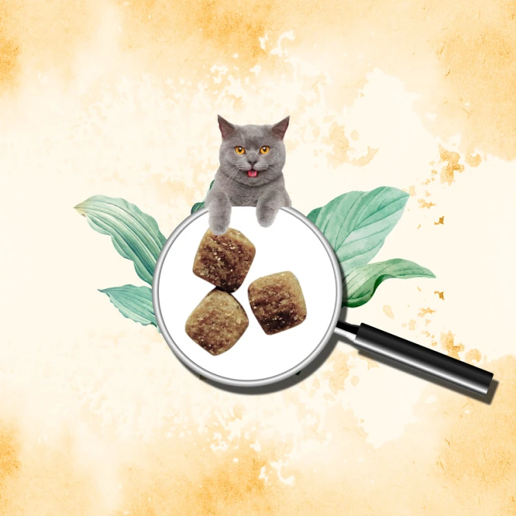 Broshwiz for sterilized cats chicken - 2kg
