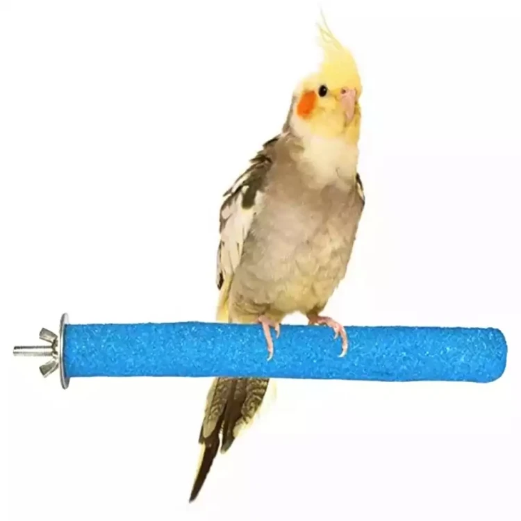 Bird beak and nail file  - /20cm