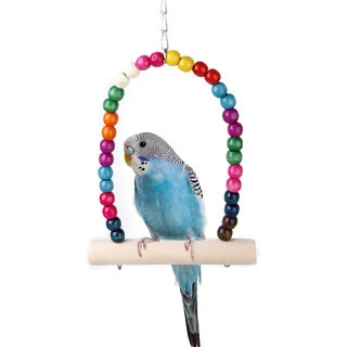 Bird swing  - /صغير