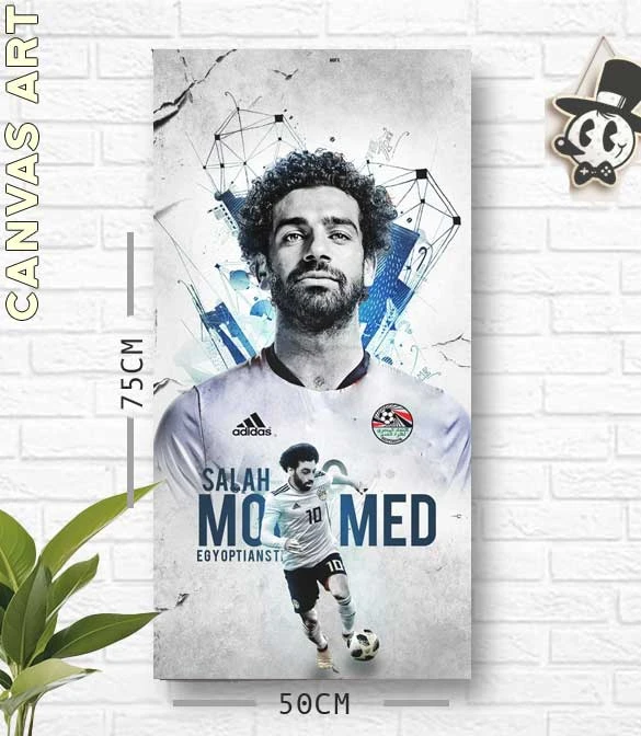 محمد صلاح قماش الفن