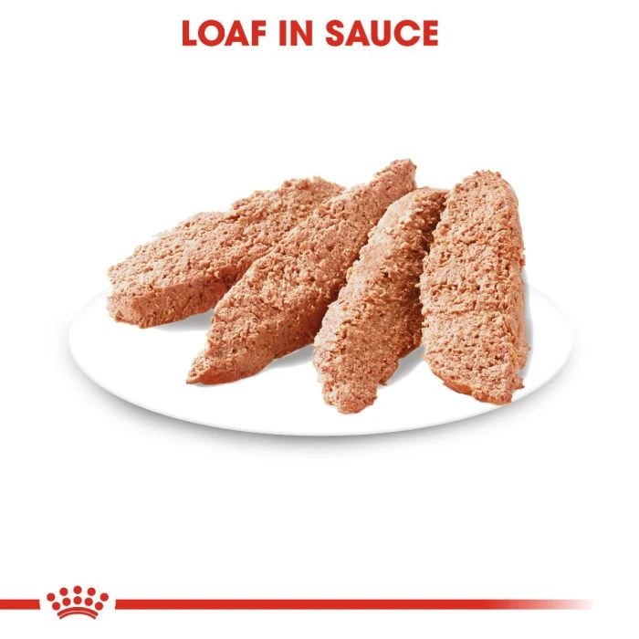 Royal Canin Light Weight Care Loaf 85g