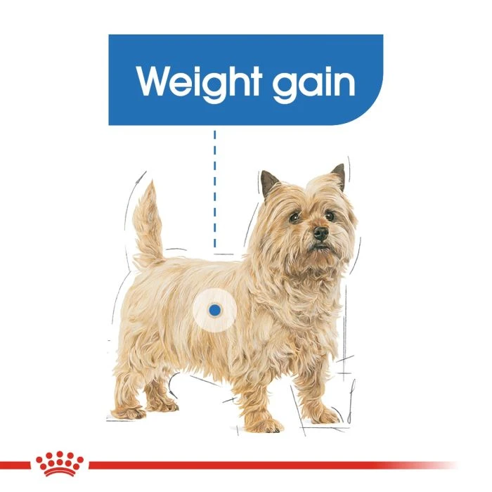 Royal Canin Light Weight Care Loaf 85g