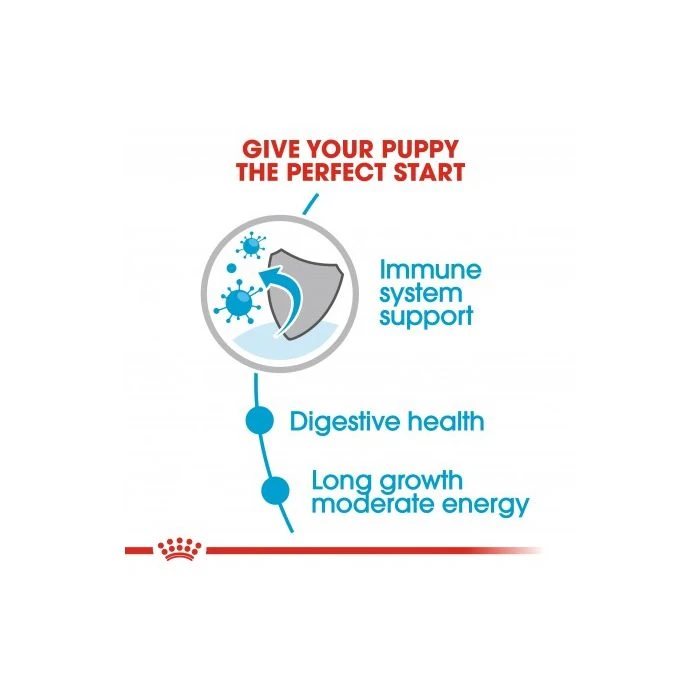 Royal Canin Maxi Puppy Chunks In Gravy 140g
