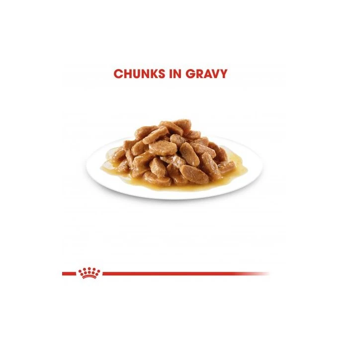 Royal Canin Maxi Puppy Chunks In Gravy 140g