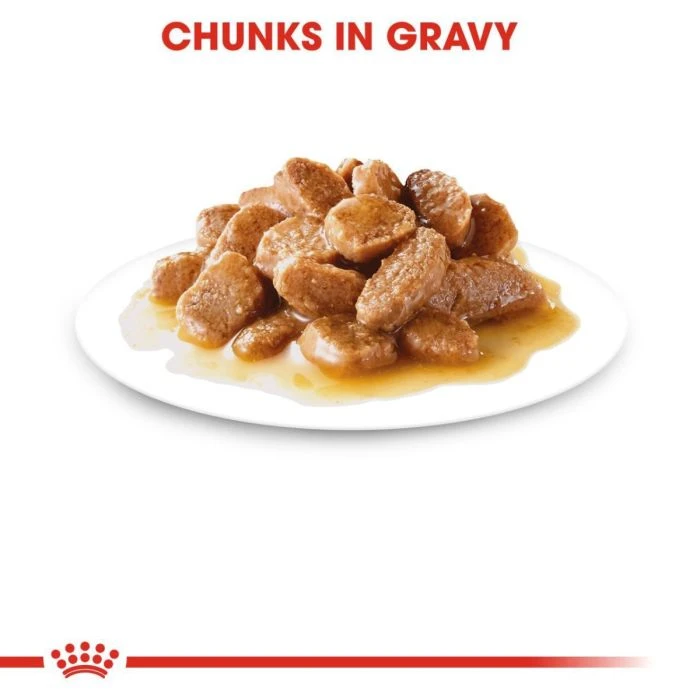 Royal Canin Mini Adult Chunks In Gravy 85 g