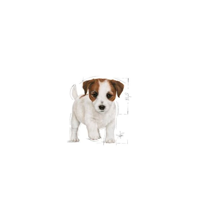Royal Canin Mini Puppy Chunks In Gravy 85g