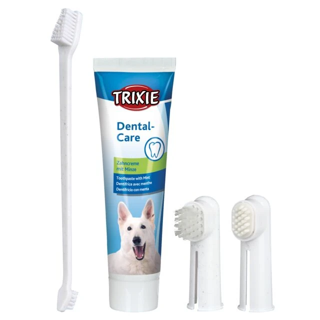 مجموعة العناية بالأسنان (Dental Hygiene Set)