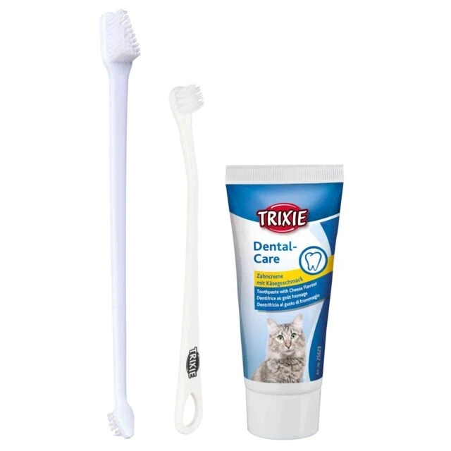 Dental Hygiene Set