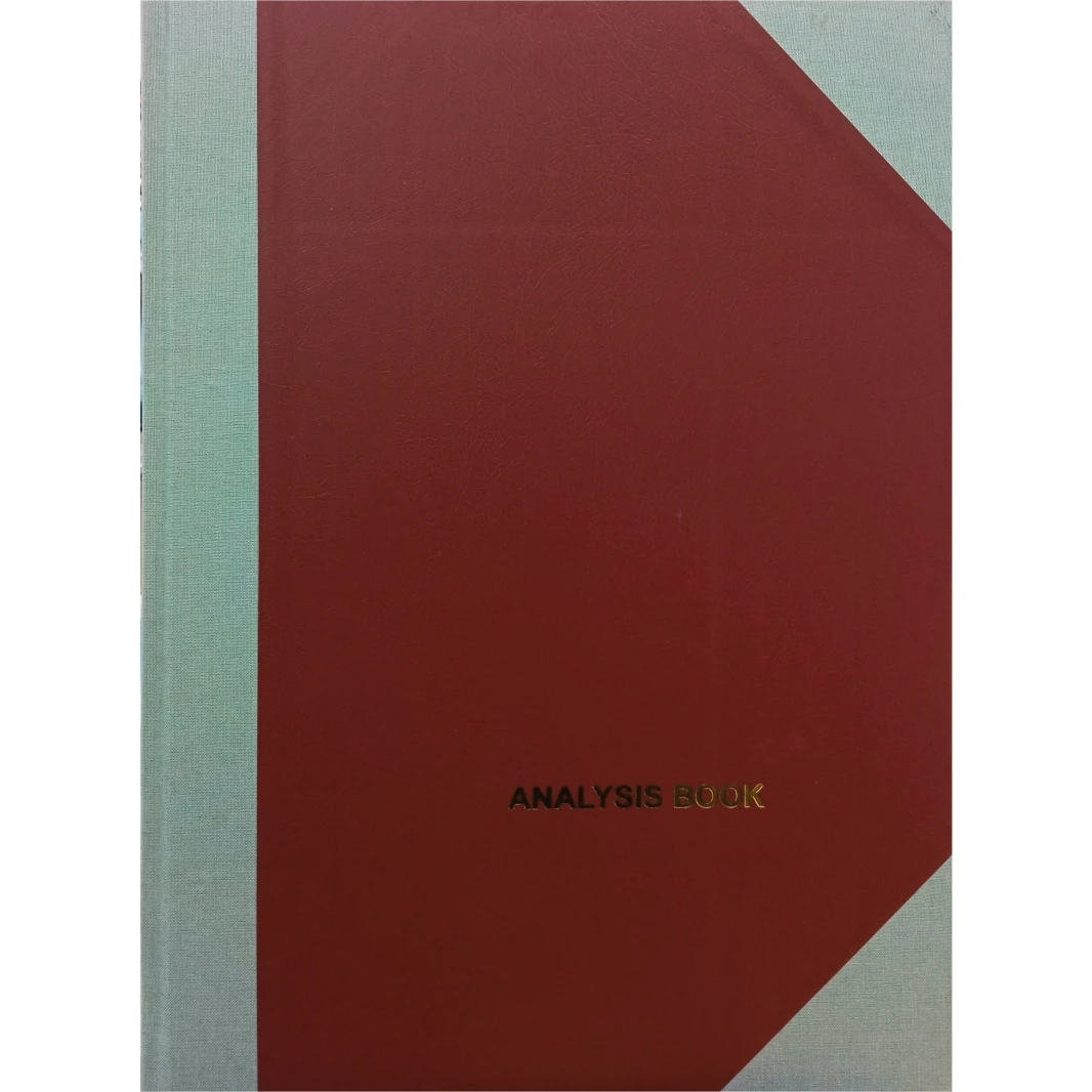 Analysis Book 13 Columns 35x26 cm 100 Sheets