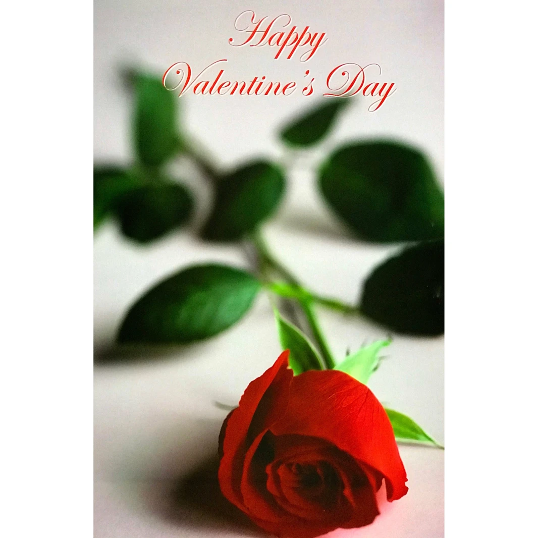 Jumbo Valentine's Day Greeting Cards with Envelope