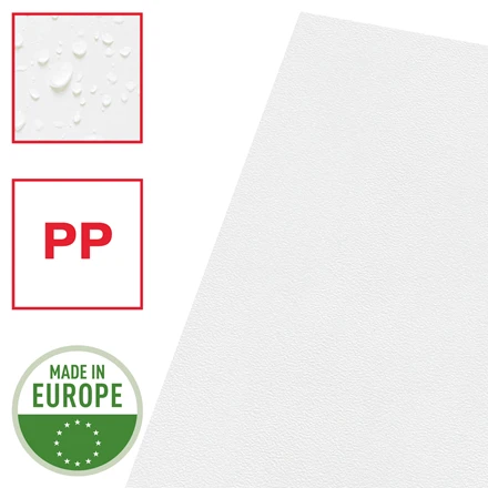Esselte L-Shape Folder Transparent Embossed File A4