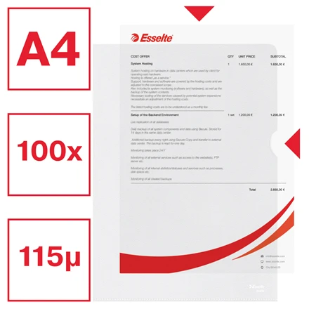 Esselte L-Shape Folder Transparent Embossed File A4