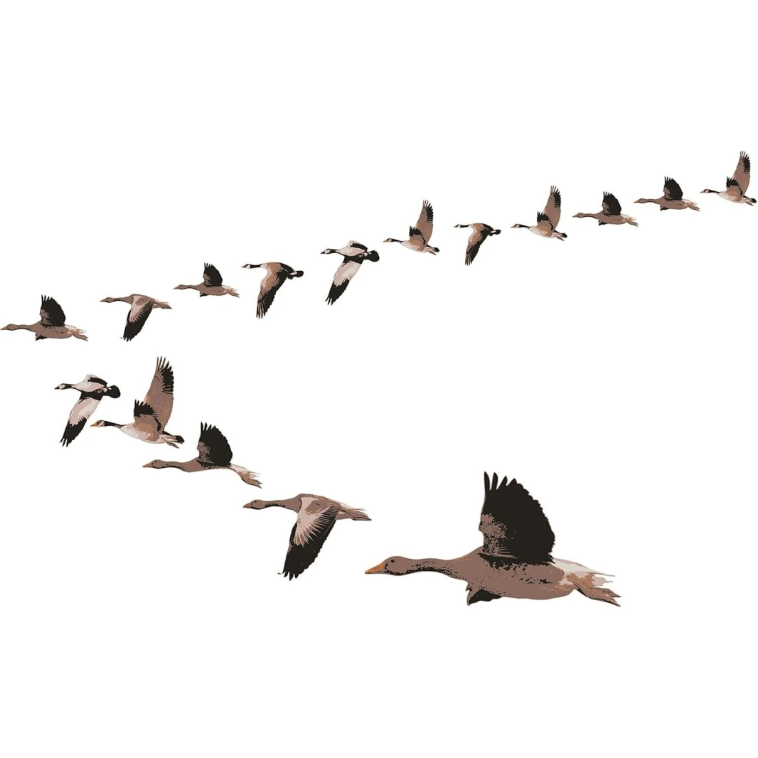 ملصقات حائط كبيرة قابلة للإزالة وإعادة الوضع من Smartdeco - Wild Ducks