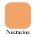 Premium Colored Carton Sheets 220g 50x65 cm – A2
