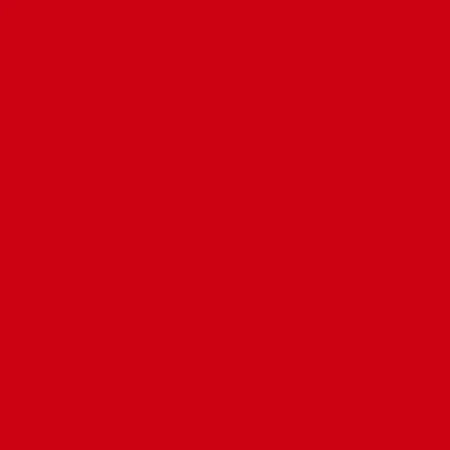 Premium Colored Carton Sheets 220g 50x65 cm – A2