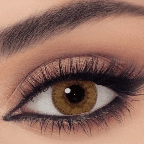 سيلينا اليومية – ستايلش هيزل