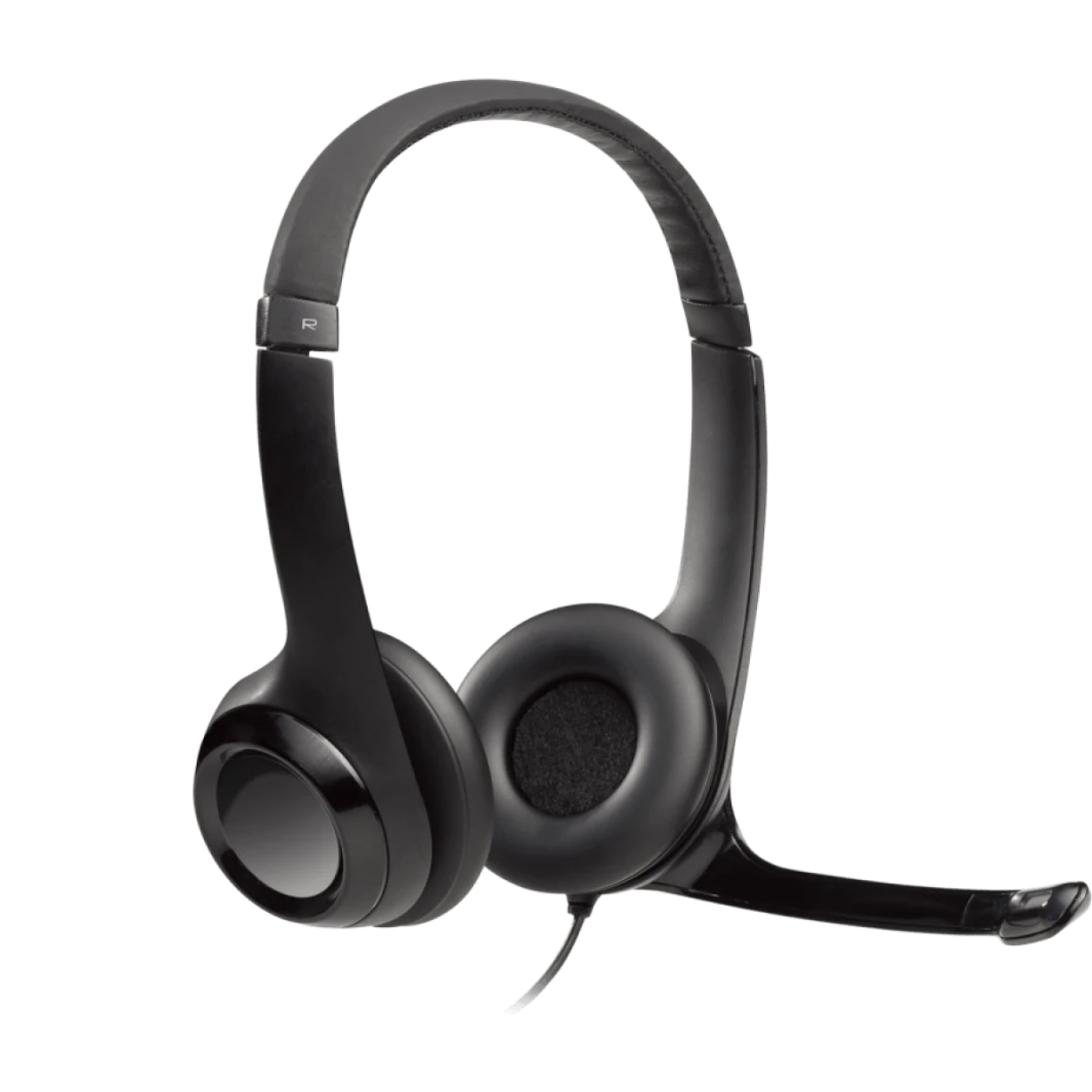 Logitech USB COMPUTER HEADSET H390