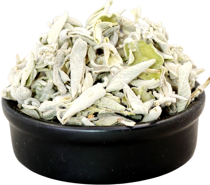 Mountain sage