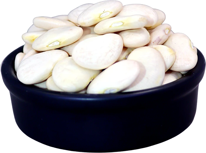 فاصولياء بيضاء عريضة