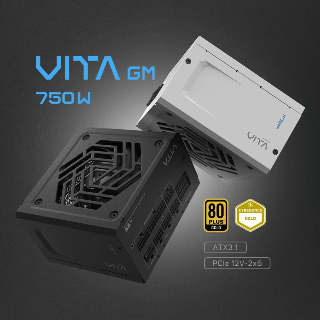 مزود الطاقة FSP 750W VITA GM 80 PLUS Gold (ATX3.1)(PCIe5.1) معياري بالكامل FSP