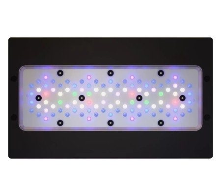 إيكوتيك راديون XR30 مصباح LED G6 أزرق