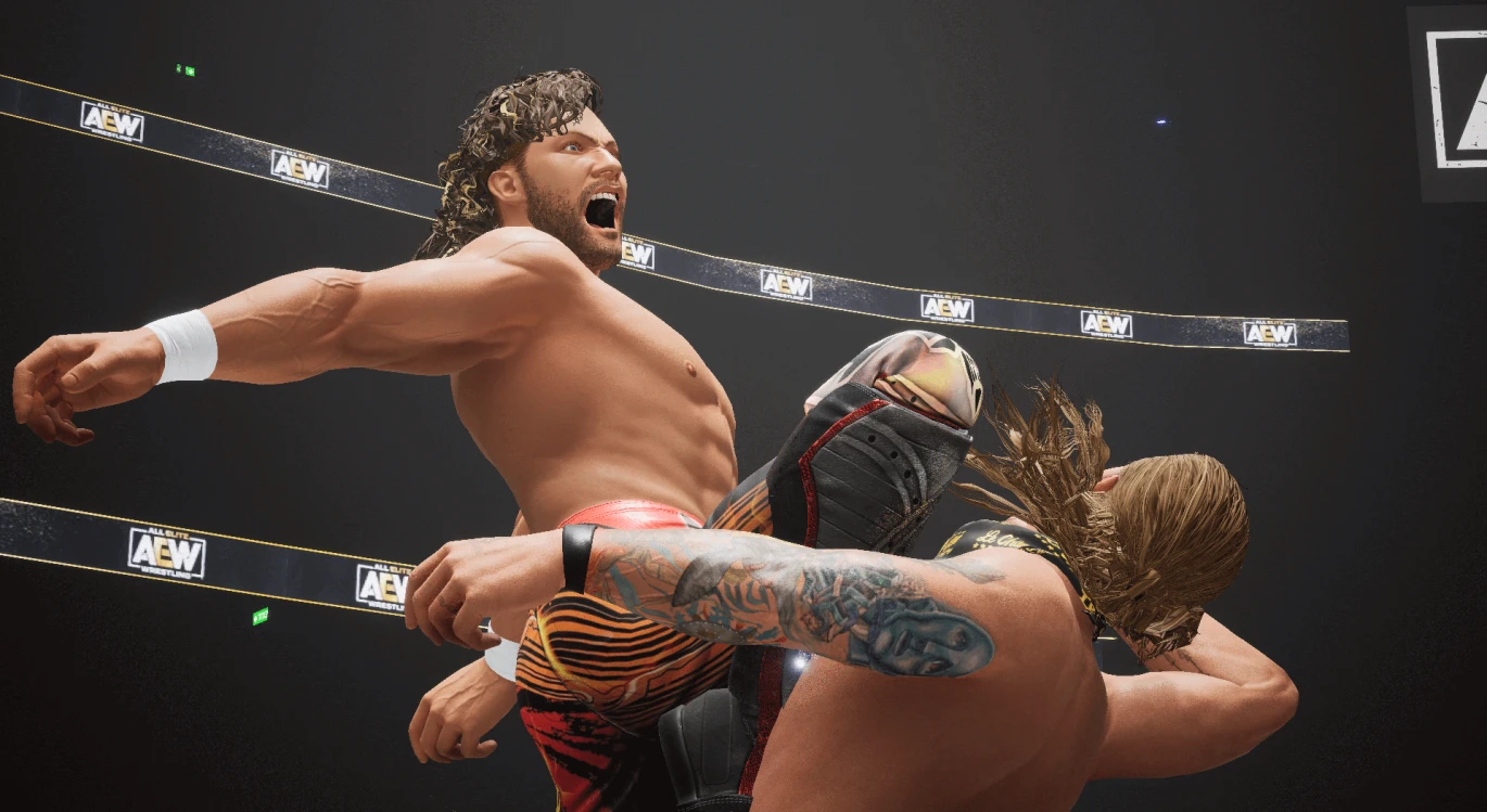 AEW Fight Forever - بلاي ستيشن 5