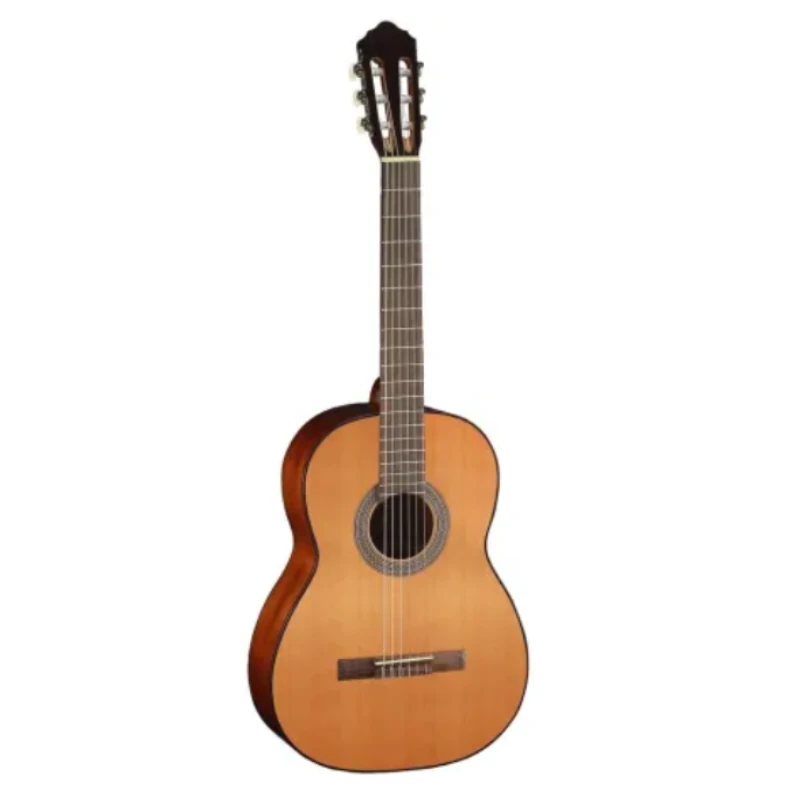 Cort AC100-SG Classical Guitar