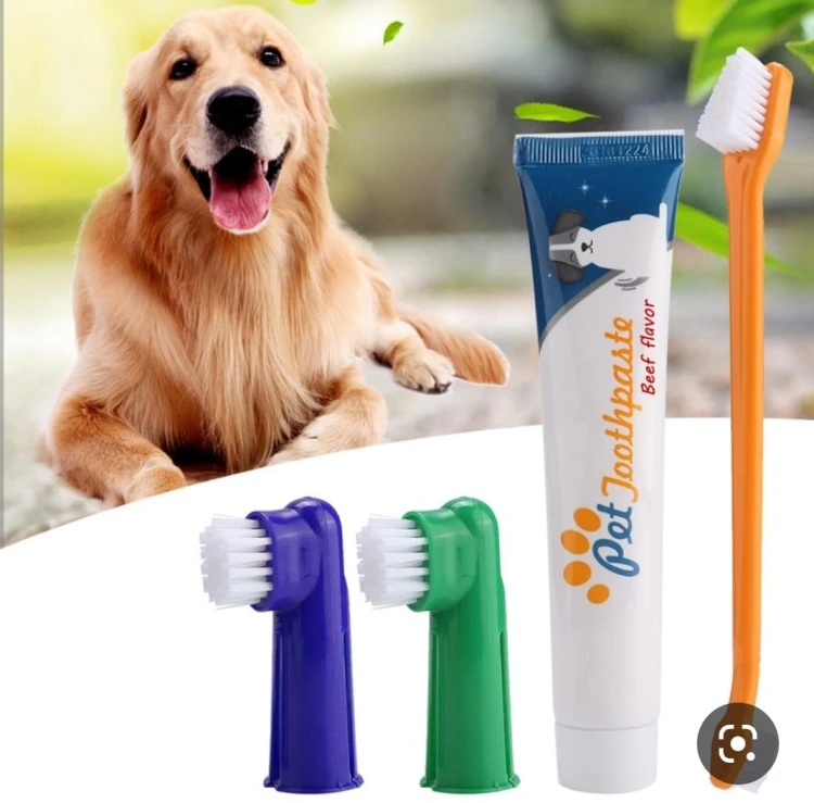 فرشاة ومعجون أسنان Yingte Pet