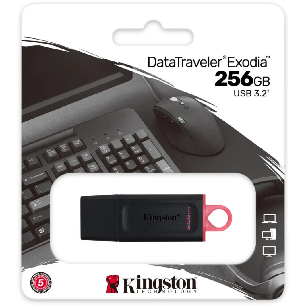 فلاشة كينجستون داتا ترافيلر إكسوديا 256 جيجا بايت USB 3.2