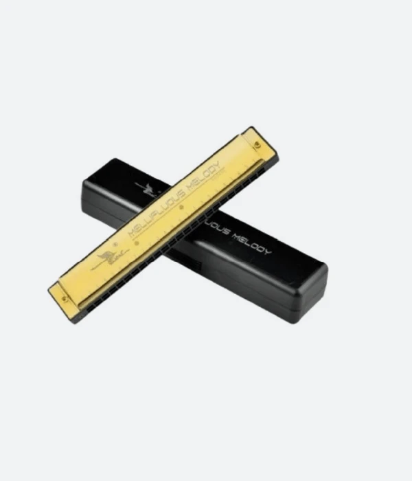 Educational harmonica