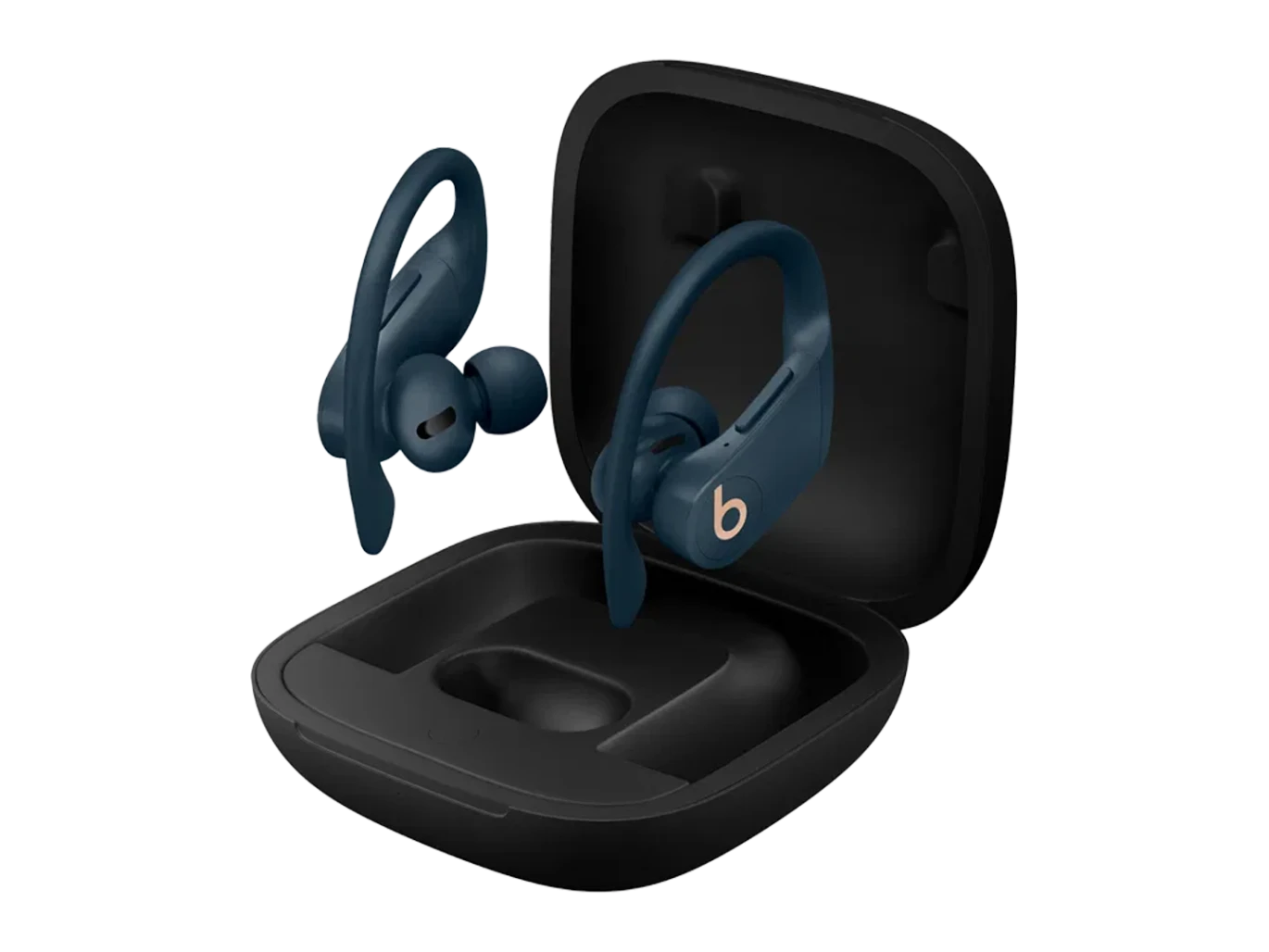 Beats Powerbeats Pro Wireless Earbuds