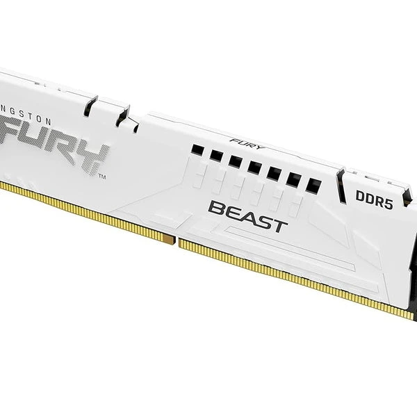 ذاكرة كينجستون فيوري بيست 32 جيجا بايت 5600MT/s DDR5 - أبيض