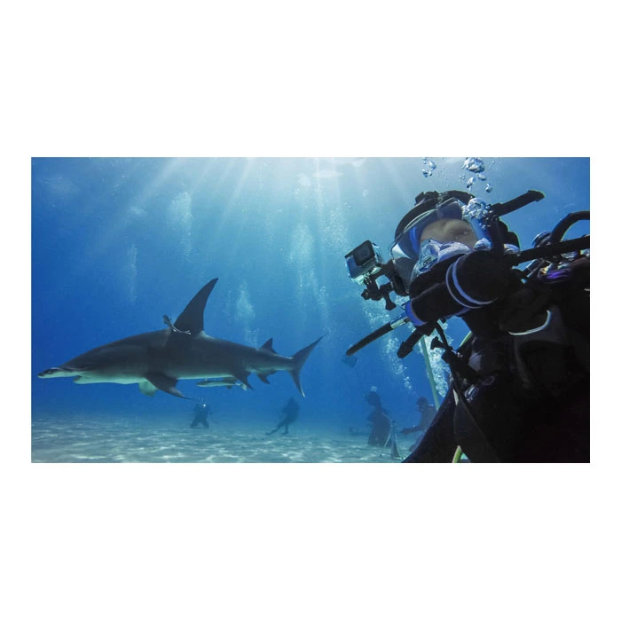Underwater Housing Case for GoPro Hero 9/10/11/12 Black, 60m