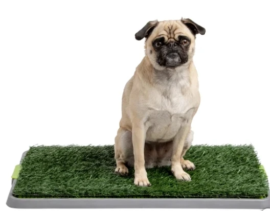 Potty Patch Indoor Washroom for Dogs - 43 × 68 cm