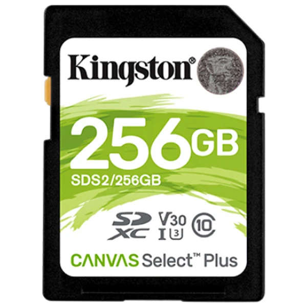 KINGSTON CANVAS GO PLUS SD MEMORY CARD 256GB 100MB/S