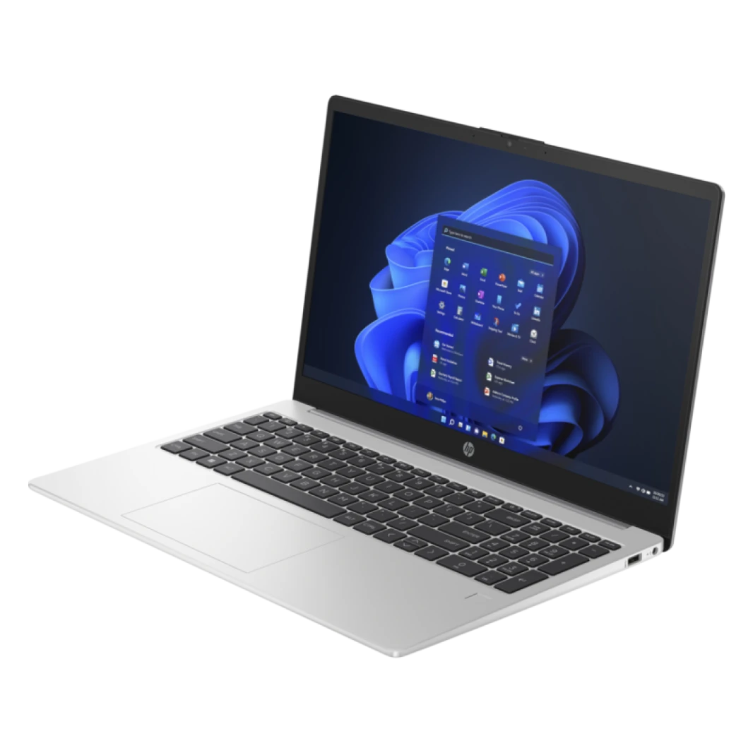 Laptop 250 G10 Notebook Intel® Core™ i5-1334U 10 cores, 8 GB DDR4, 512 GB SSD, 15.6" FHD 250 nits - silver