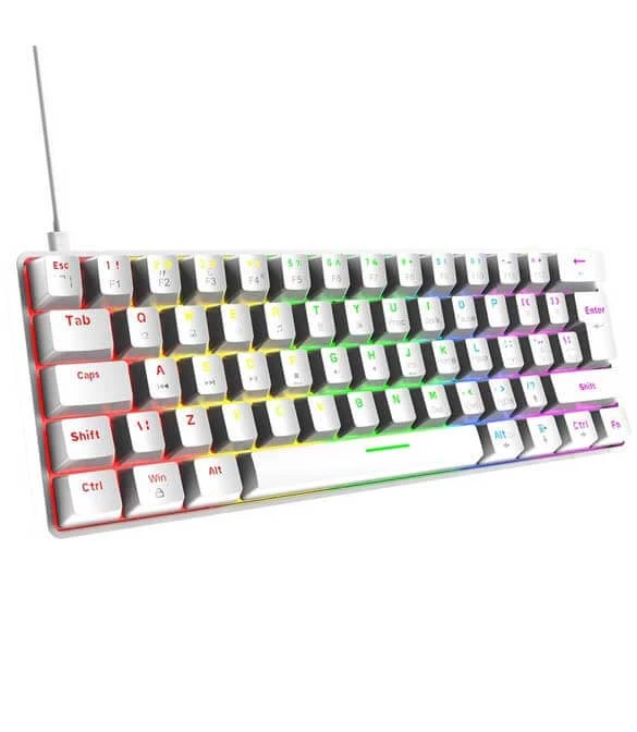 ZIYOULANG T60 White ( Blue Switch )