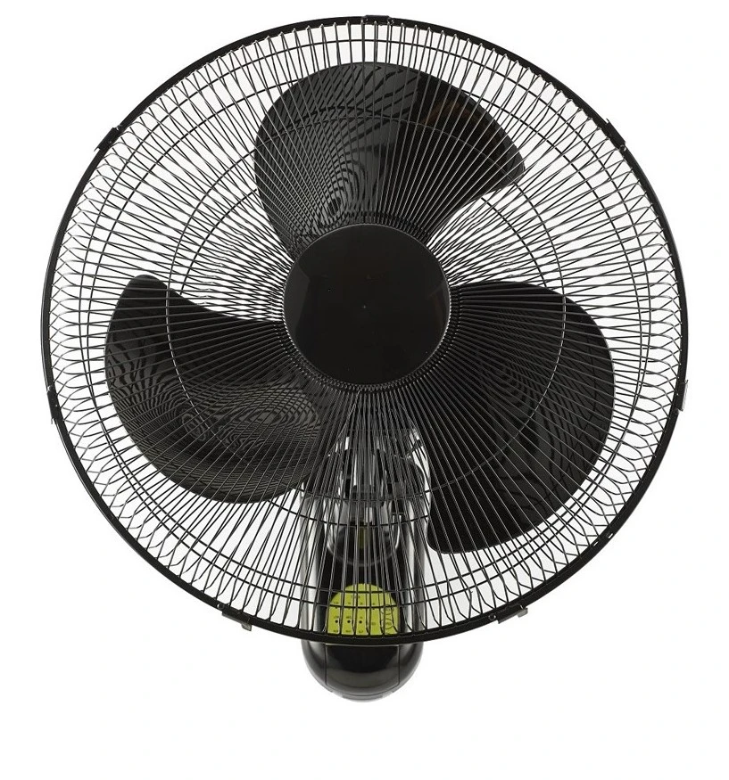 National I2 I2 18 inch FW2024