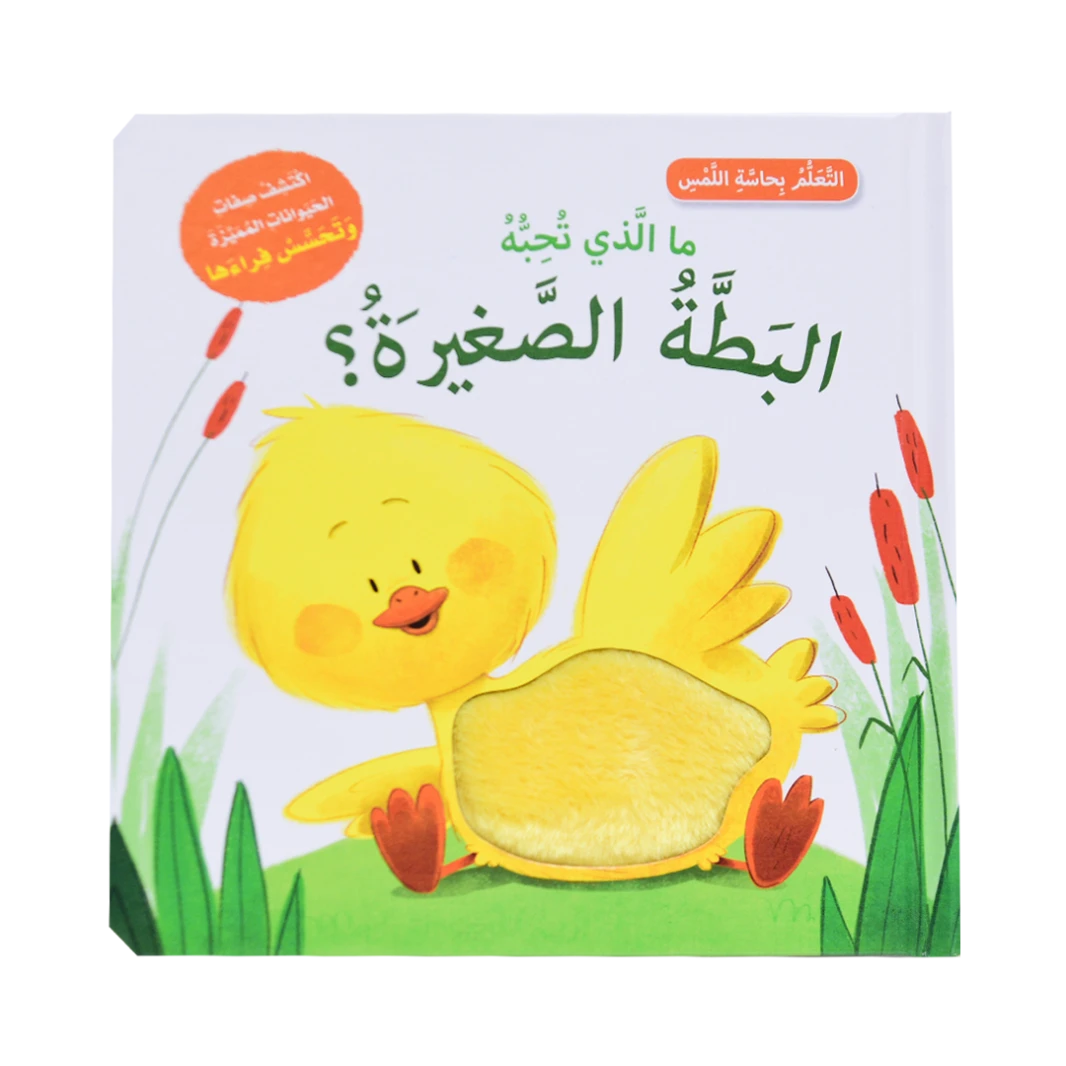 تعلم بحاسة اللمس - ما الذي تحبه البطة الصغيرة