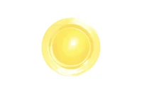 Plastic Plates Round VIP Gold 19CM
