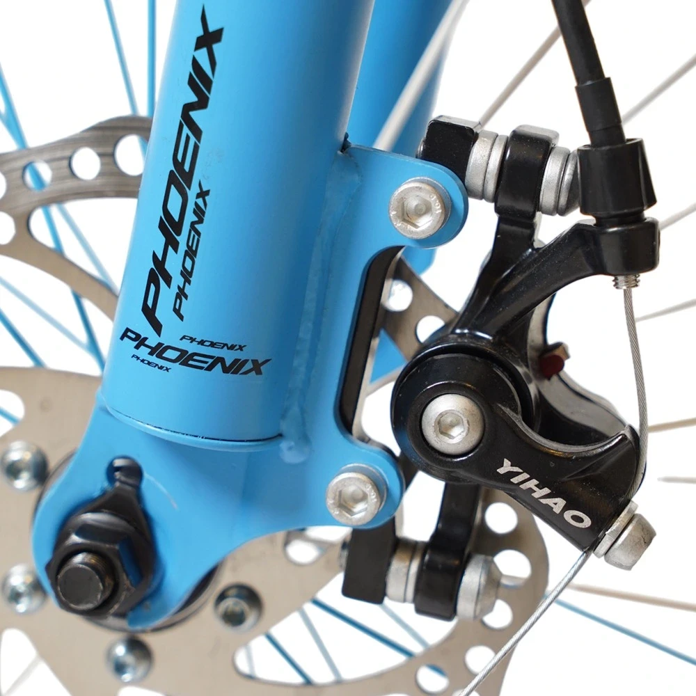 Phoenix Full Suspension 20' Kids MTB Bike