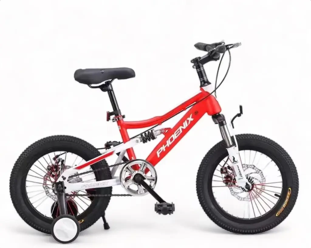 Phoenix Full Suspension 20' Kids MTB Bike