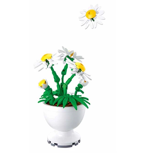 Sluban Pleyerid Potted Plants- Daisy